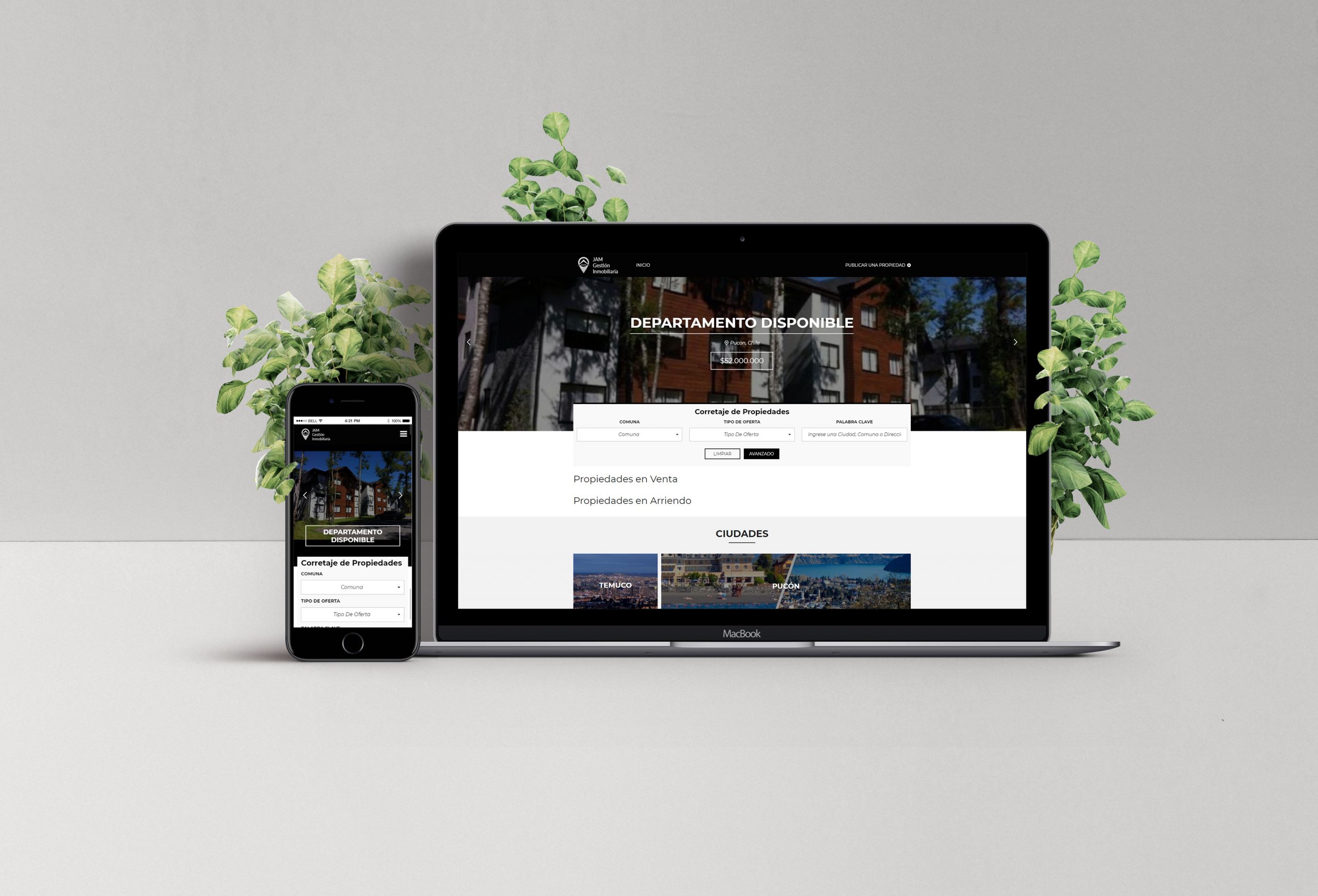 Diseño Sitio Web